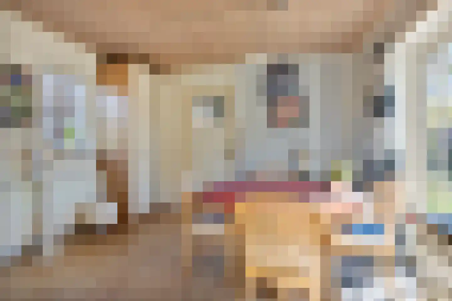 Willem de Zwijgerlaan 3 Terneuzen thumbnail 15