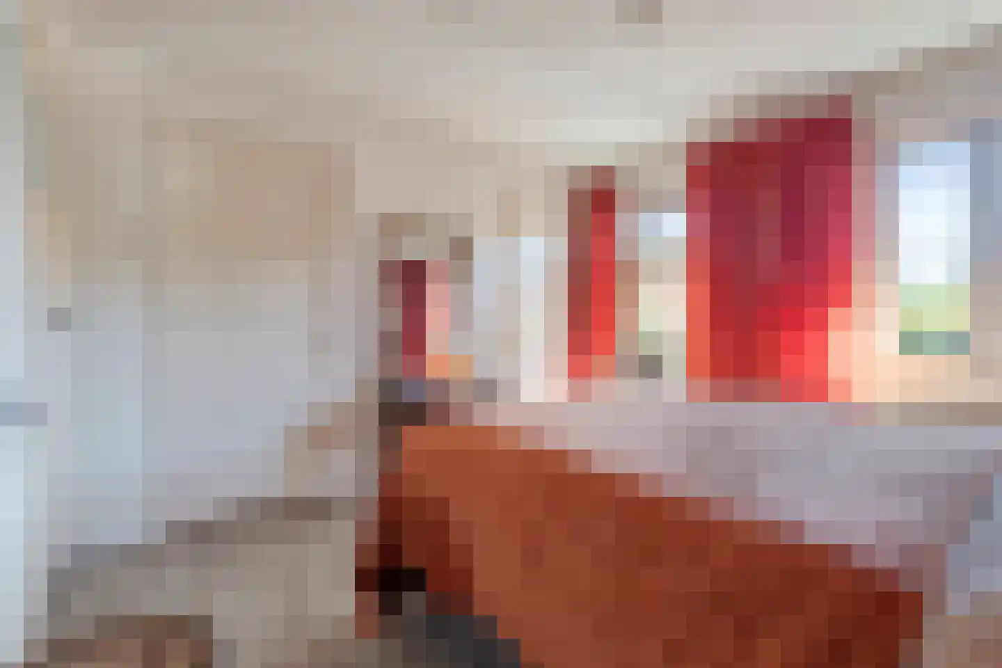 Willem de Zwijgerlaan 3 Terneuzen thumbnail 19