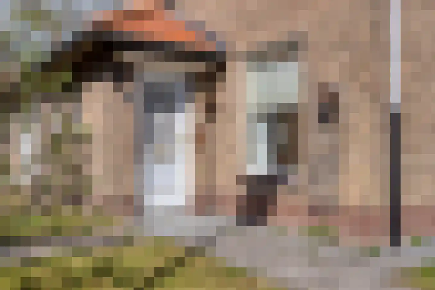 Willem de Zwijgerlaan 3 Terneuzen foto 2