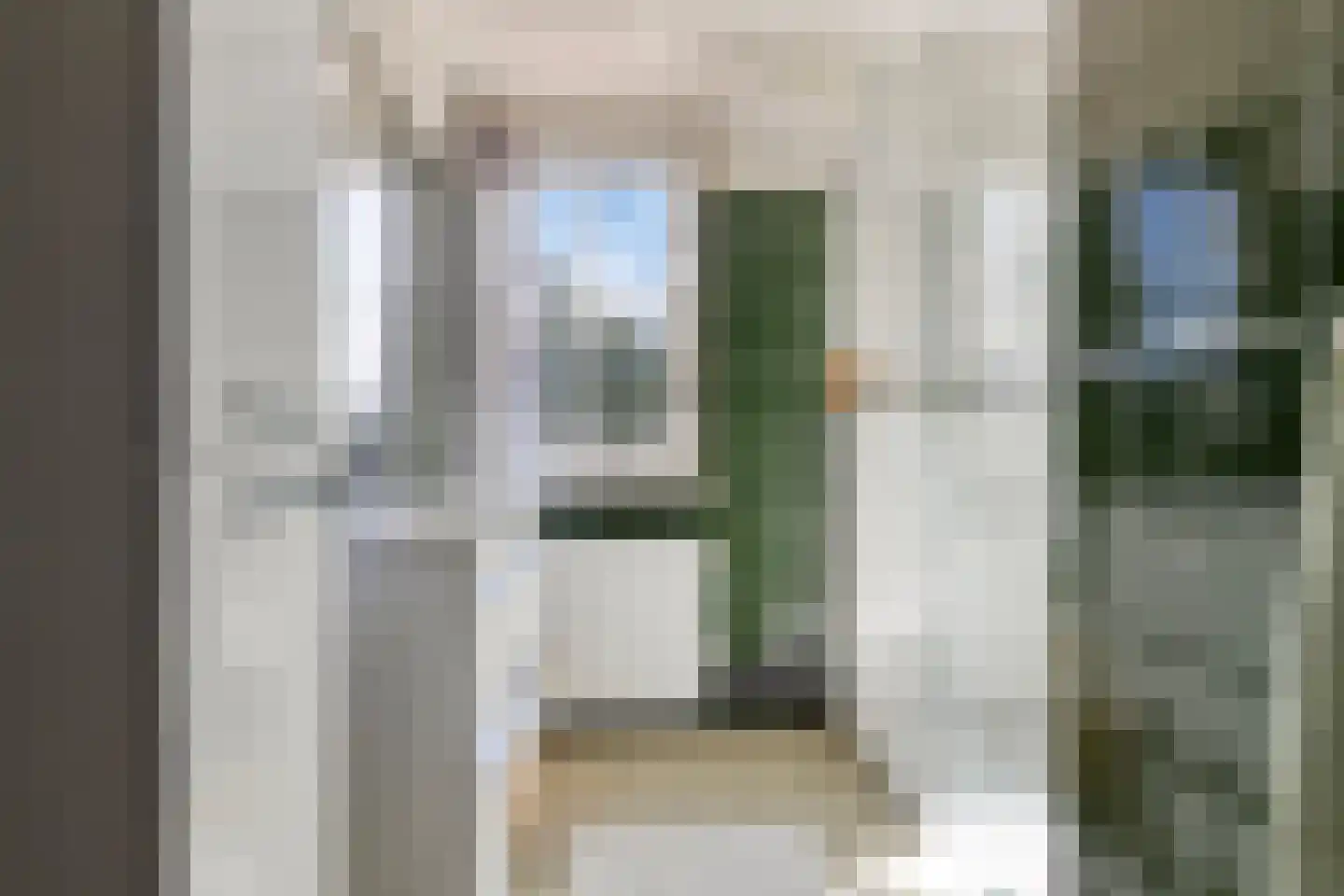Willem de Zwijgerlaan 3 Terneuzen thumbnail 20