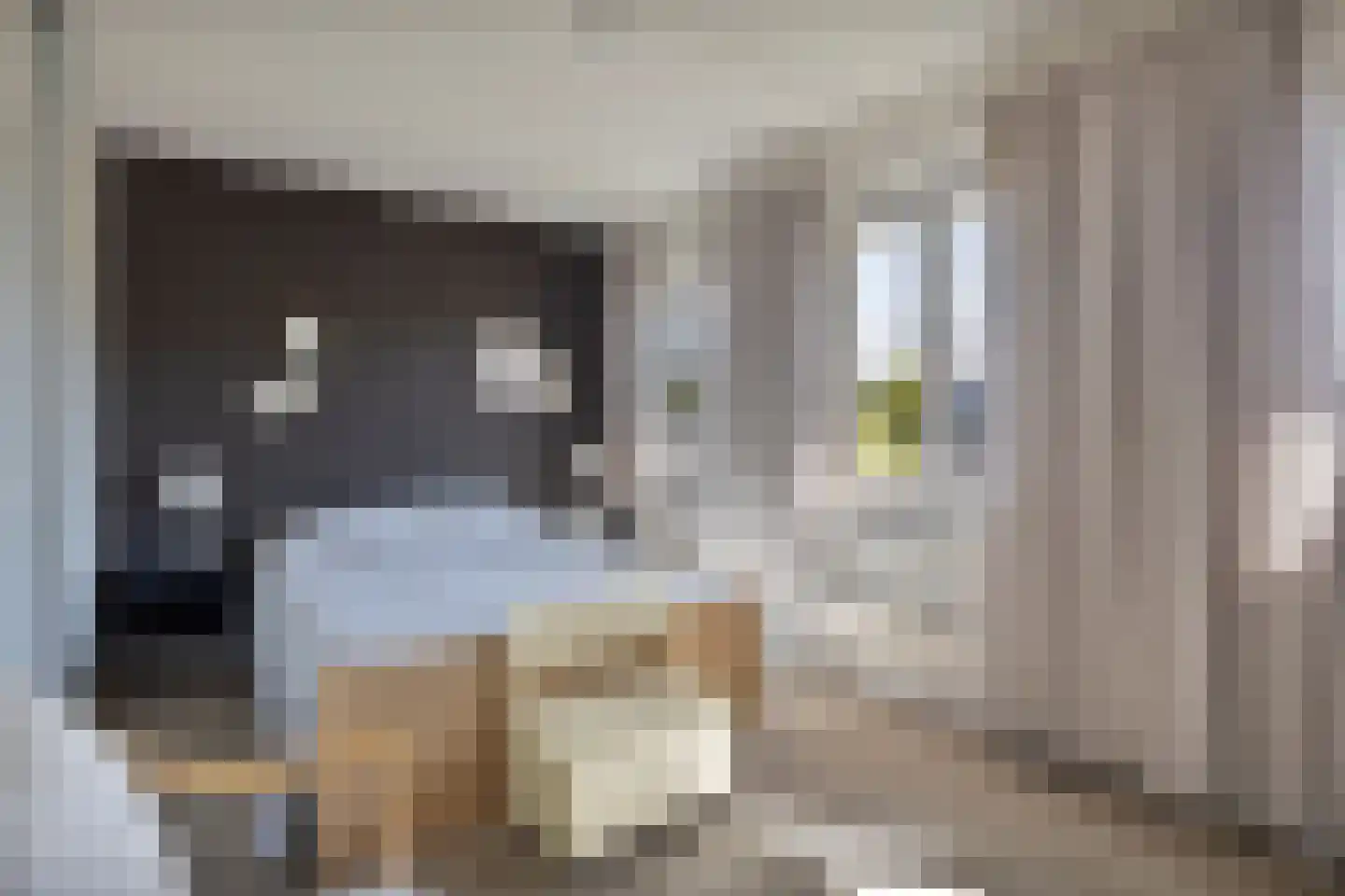 Willem de Zwijgerlaan 3 Terneuzen thumbnail 23