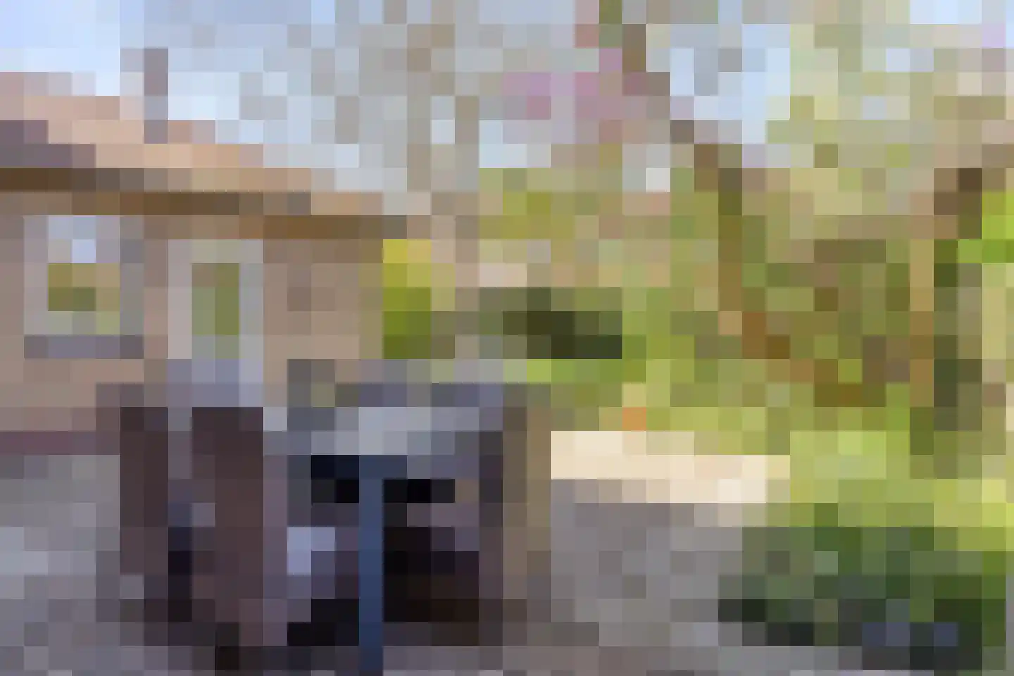 Willem de Zwijgerlaan 3 Terneuzen thumbnail 27