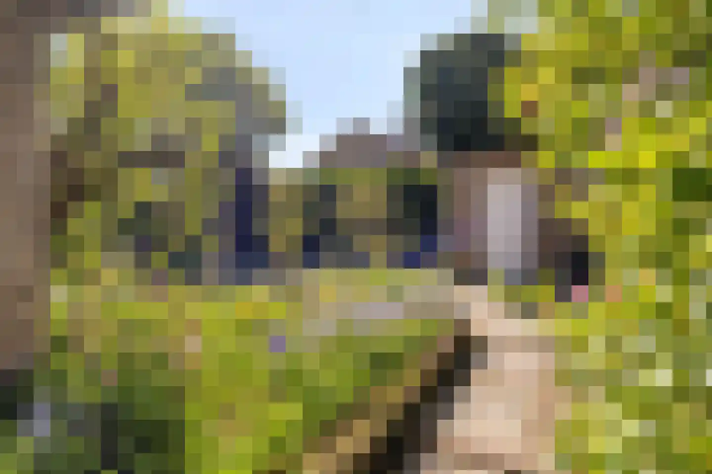 Willem de Zwijgerlaan 3 Terneuzen thumbnail 28