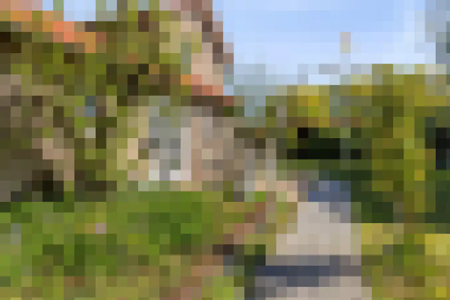 Willem de Zwijgerlaan 3 Terneuzen thumbnail 29