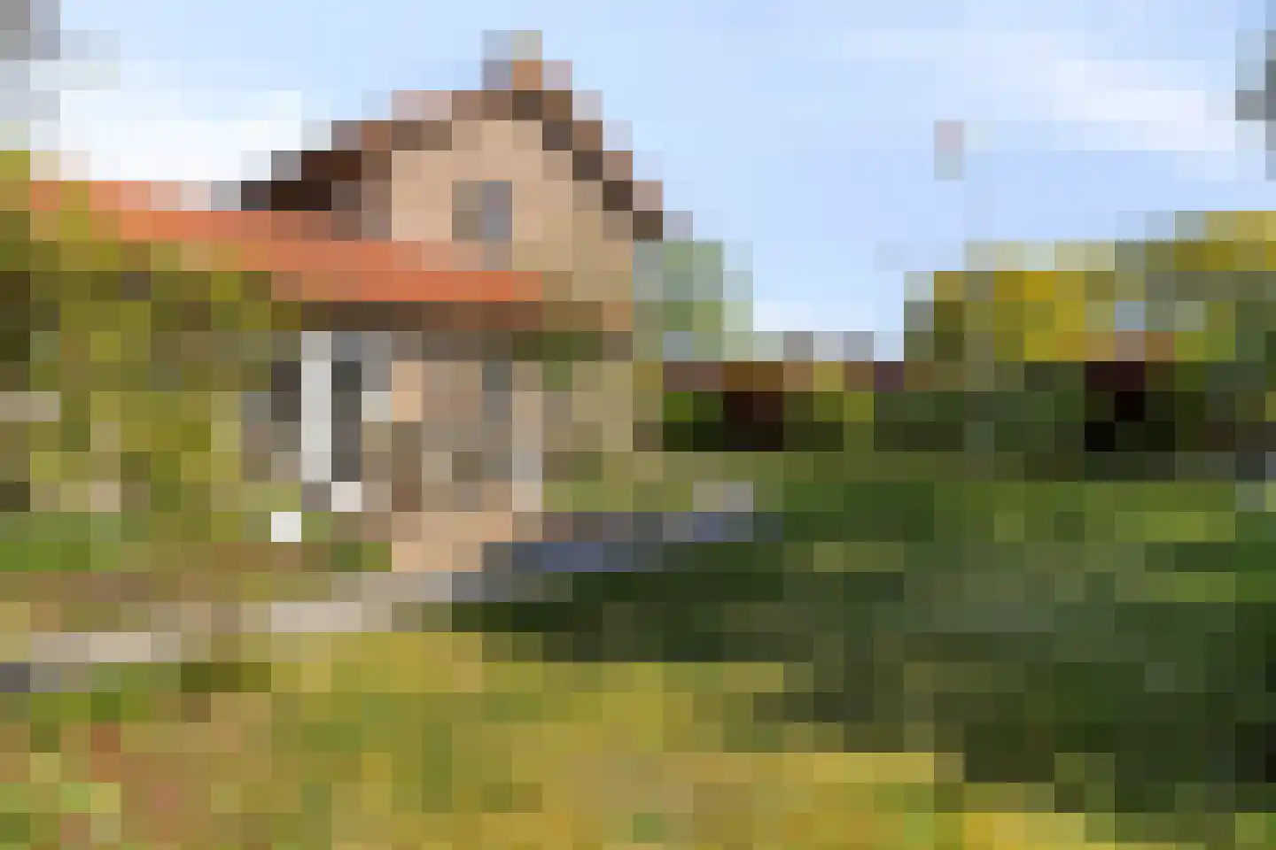 Willem de Zwijgerlaan 3 Terneuzen thumbnail 30