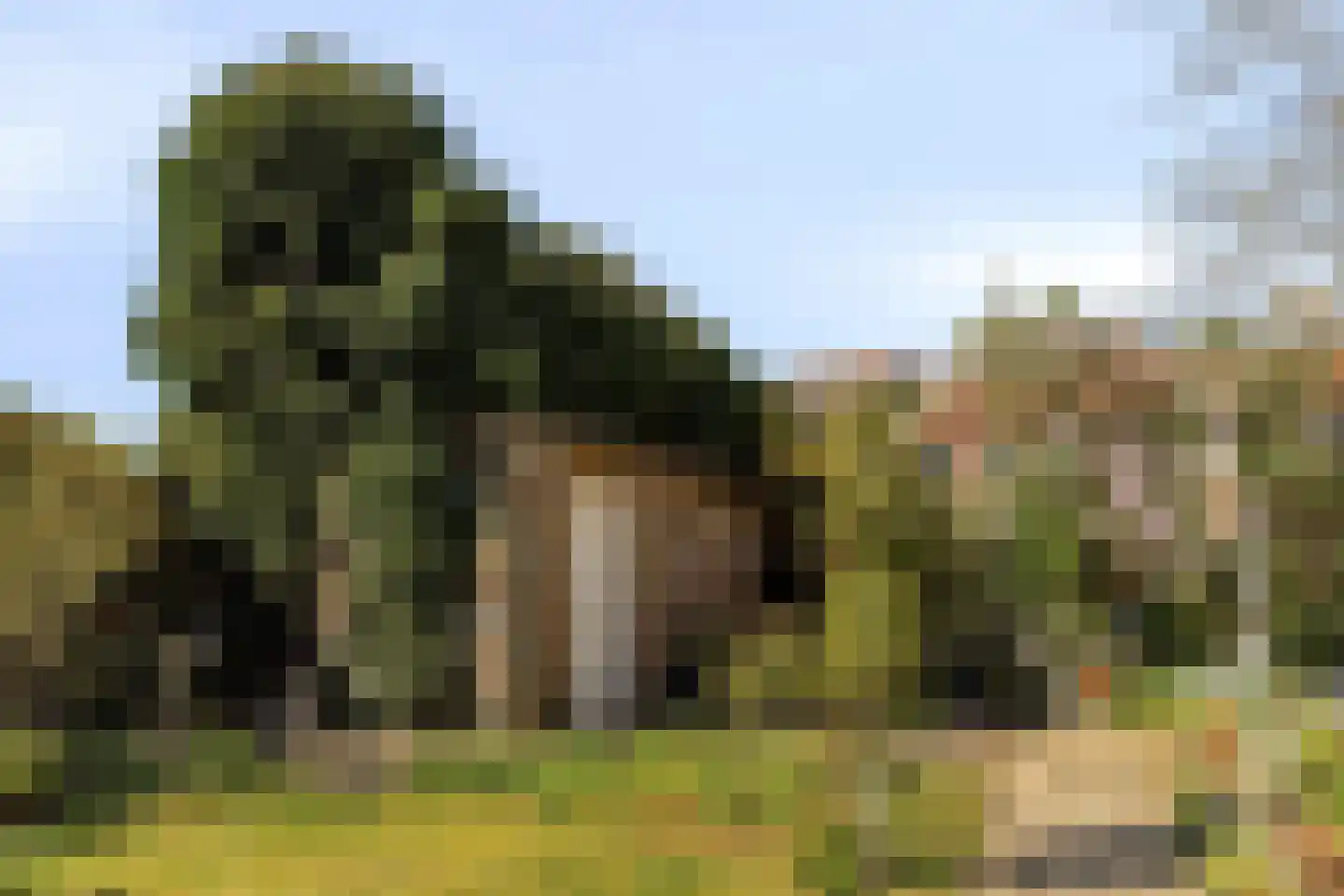 Willem de Zwijgerlaan 3 Terneuzen thumbnail 32