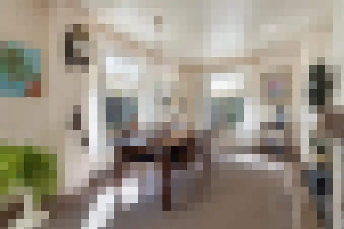 Willem de Zwijgerlaan 3 Terneuzen thumbnail 5