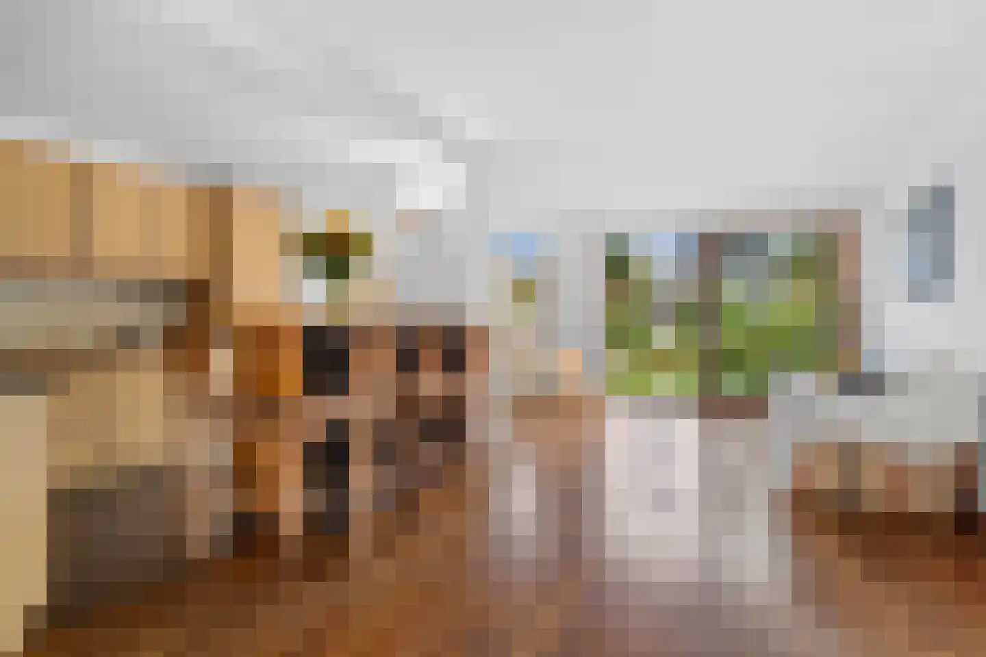 Willem de Zwijgerlaan 30 Castricum thumbnail 10