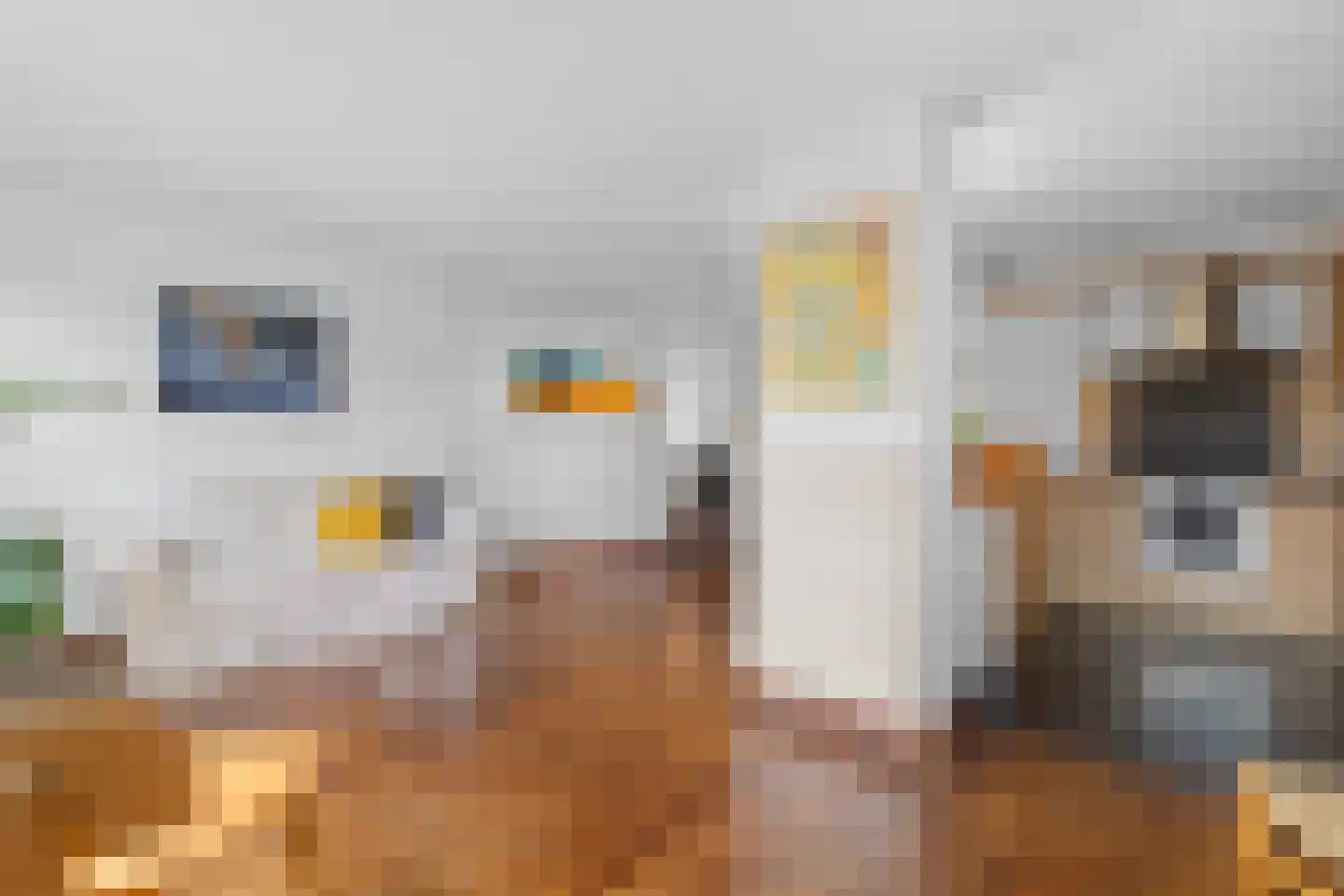 Willem de Zwijgerlaan 30 Castricum thumbnail 15