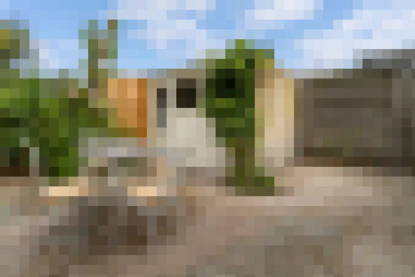 Willem de Zwijgerlaan 30 Castricum thumbnail 37