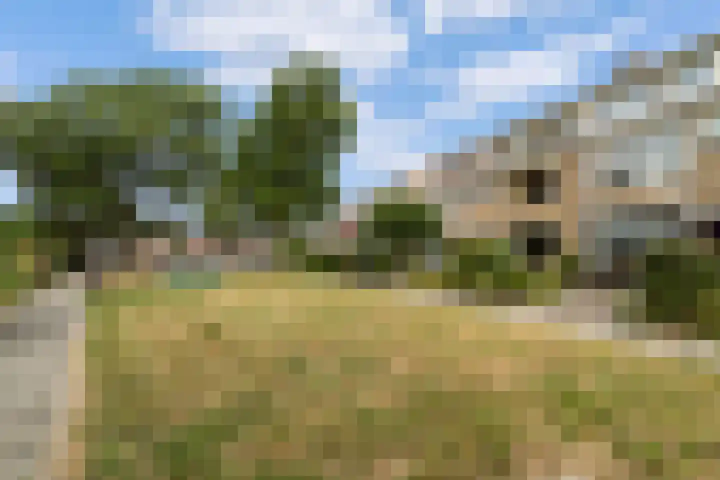 Willem de Zwijgerlaan 30 Castricum thumbnail 41