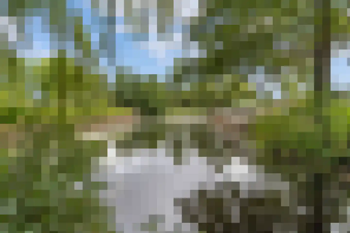 Willem de Zwijgerlaan 30 Castricum thumbnail 47