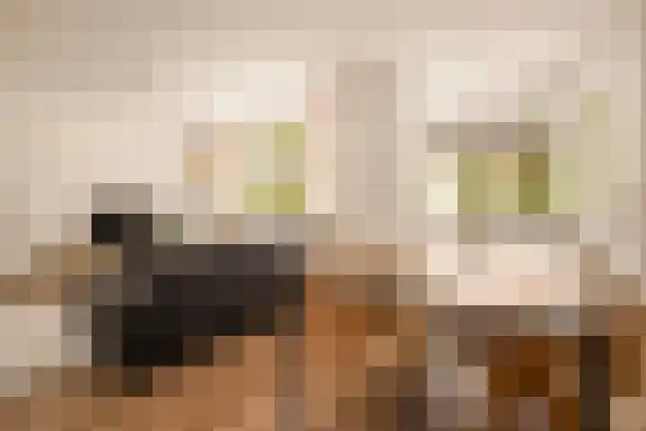 Willem de Zwijgerlaan 30 H Amsterdam thumbnail 13