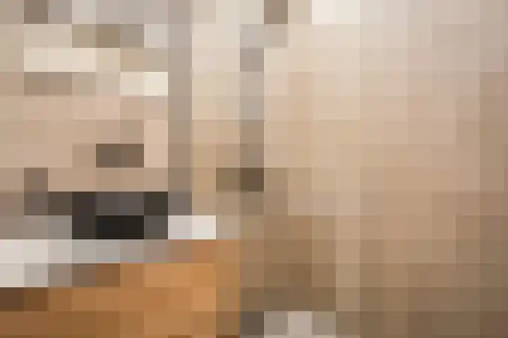 Willem de Zwijgerlaan 30 H Amsterdam thumbnail 23