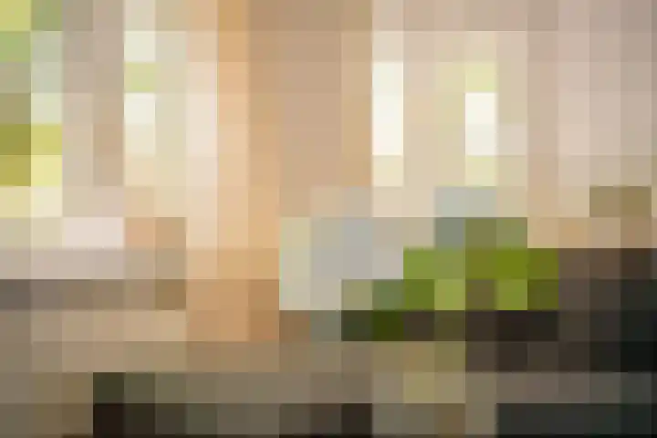Willem de Zwijgerlaan 30 H Amsterdam thumbnail 8