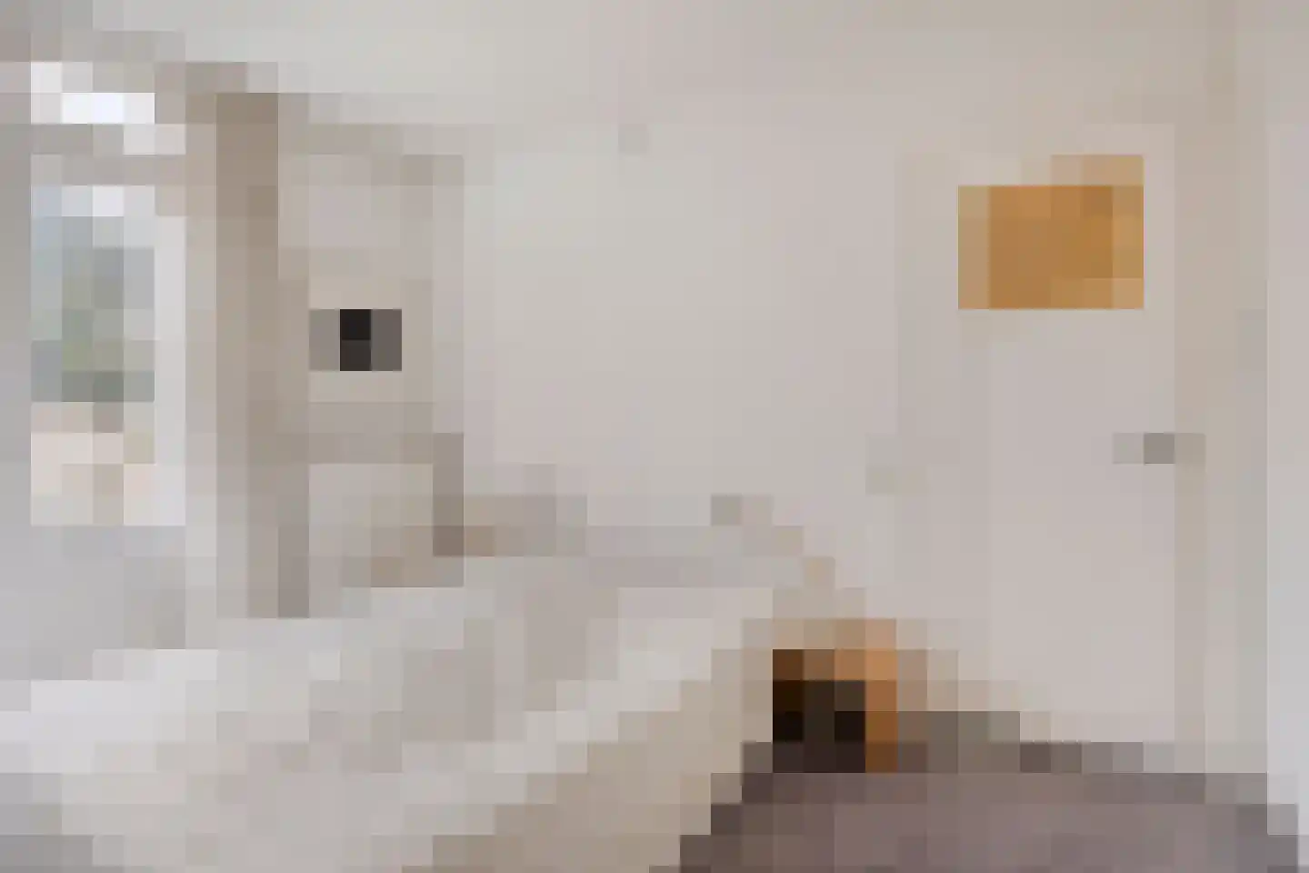 Willem de Zwijgerlaan 30 Haarlem thumbnail 18
