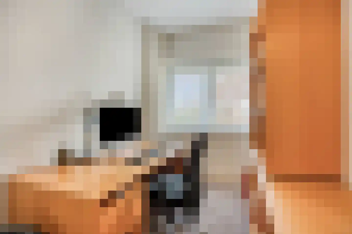 Willem de Zwijgerlaan 30 Haarlem thumbnail 26
