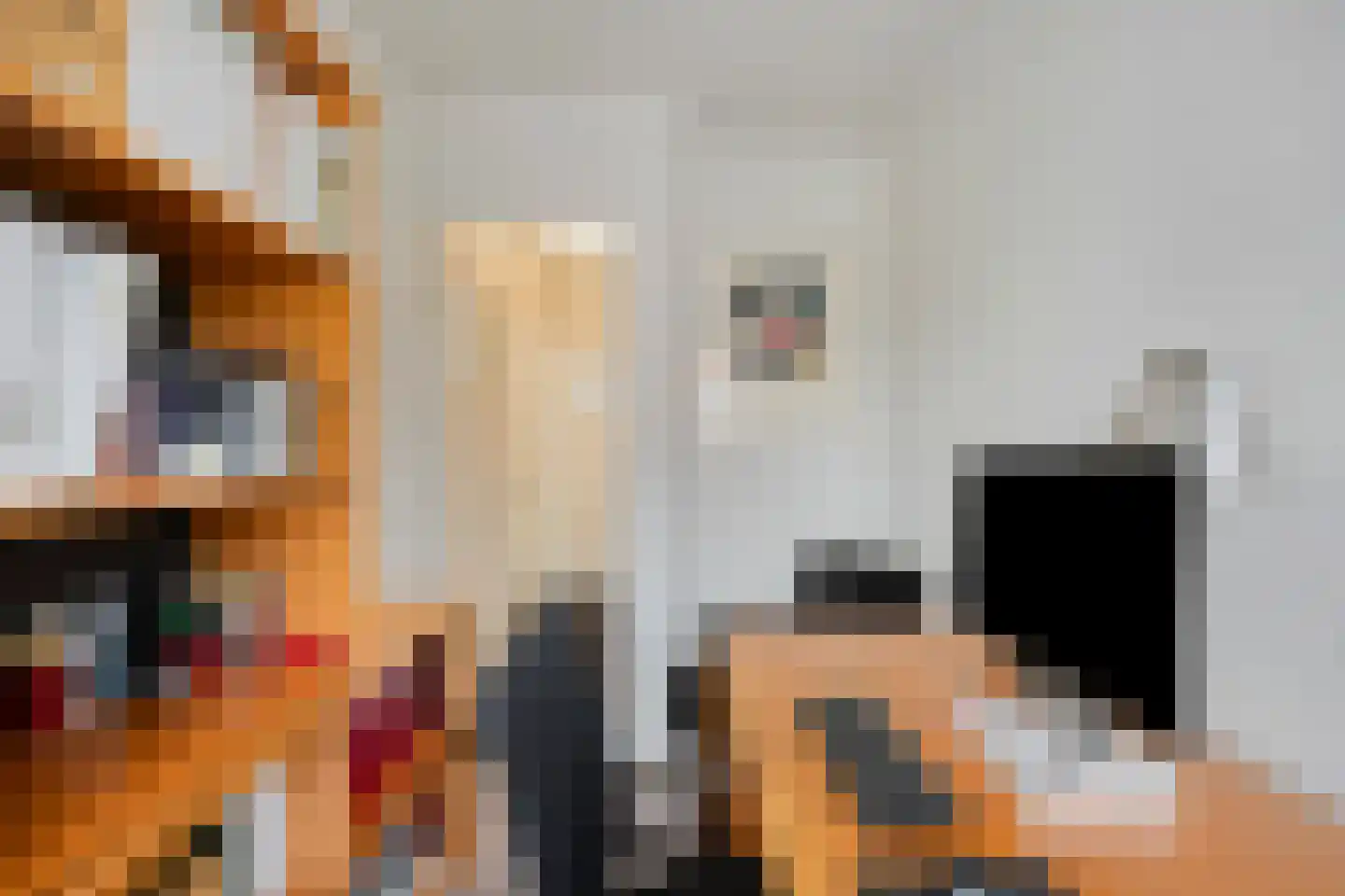 Willem de Zwijgerlaan 30 Haarlem thumbnail 27