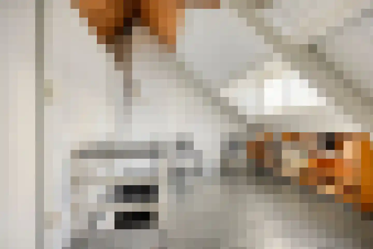 Willem de Zwijgerlaan 30 Haarlem thumbnail 29