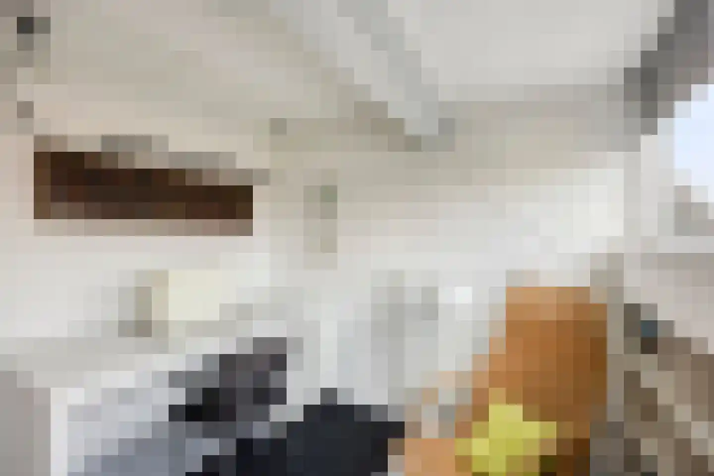 Willem de Zwijgerlaan 30 Haarlem thumbnail 31