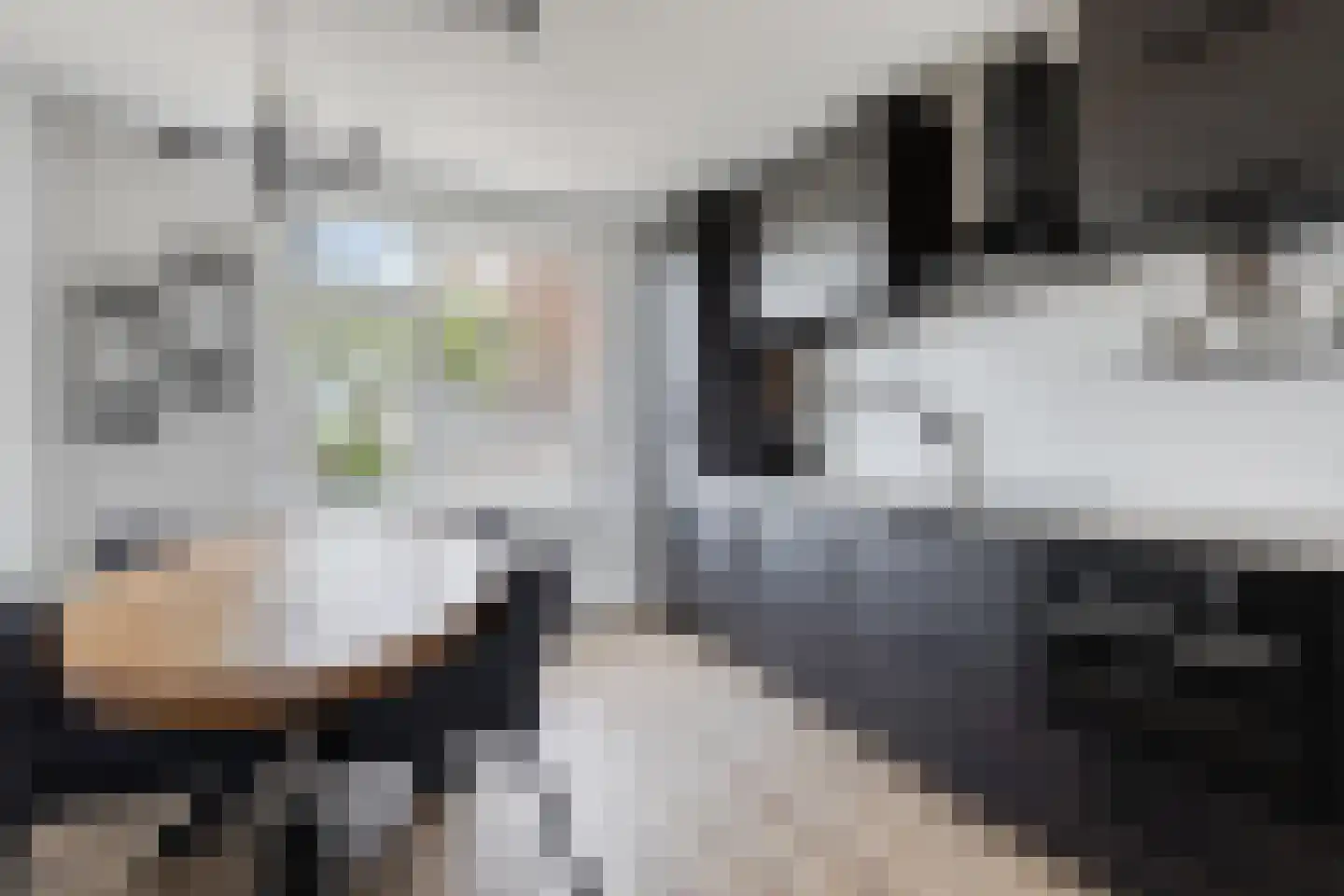 Willem de Zwijgerlaan 31 Alphen aan den Rijn thumbnail 10