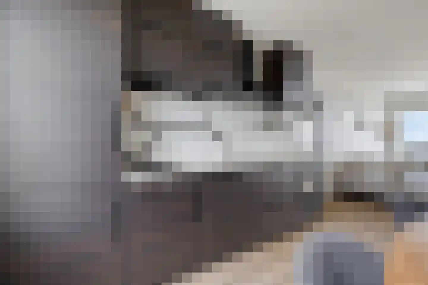 Willem de Zwijgerlaan 31 Alphen aan den Rijn thumbnail 12