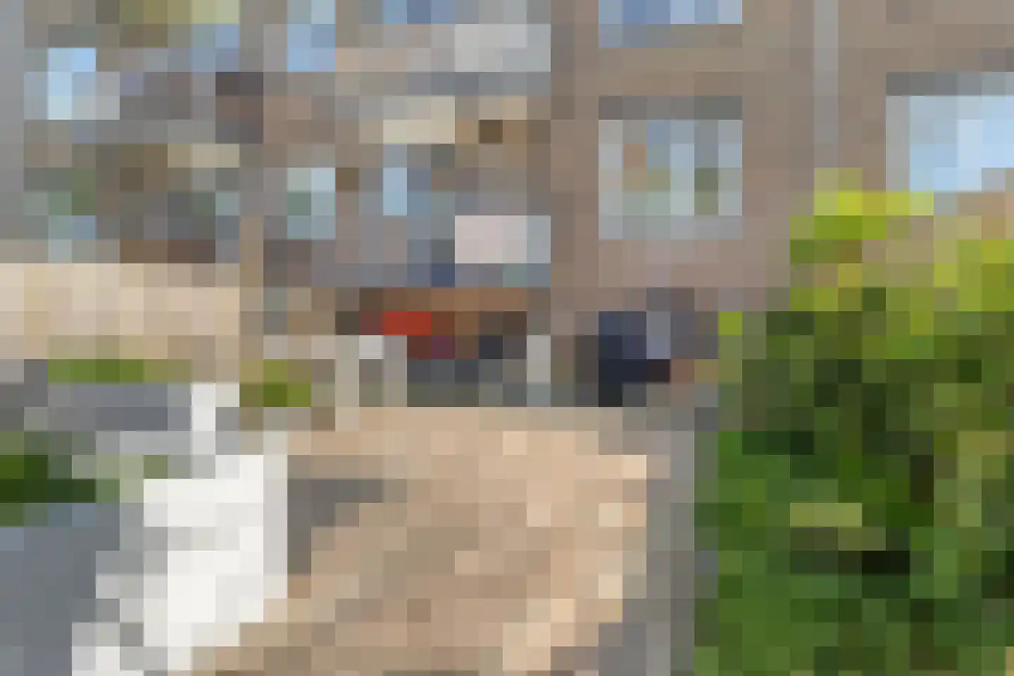 Willem de Zwijgerlaan 31 Alphen aan den Rijn thumbnail 23