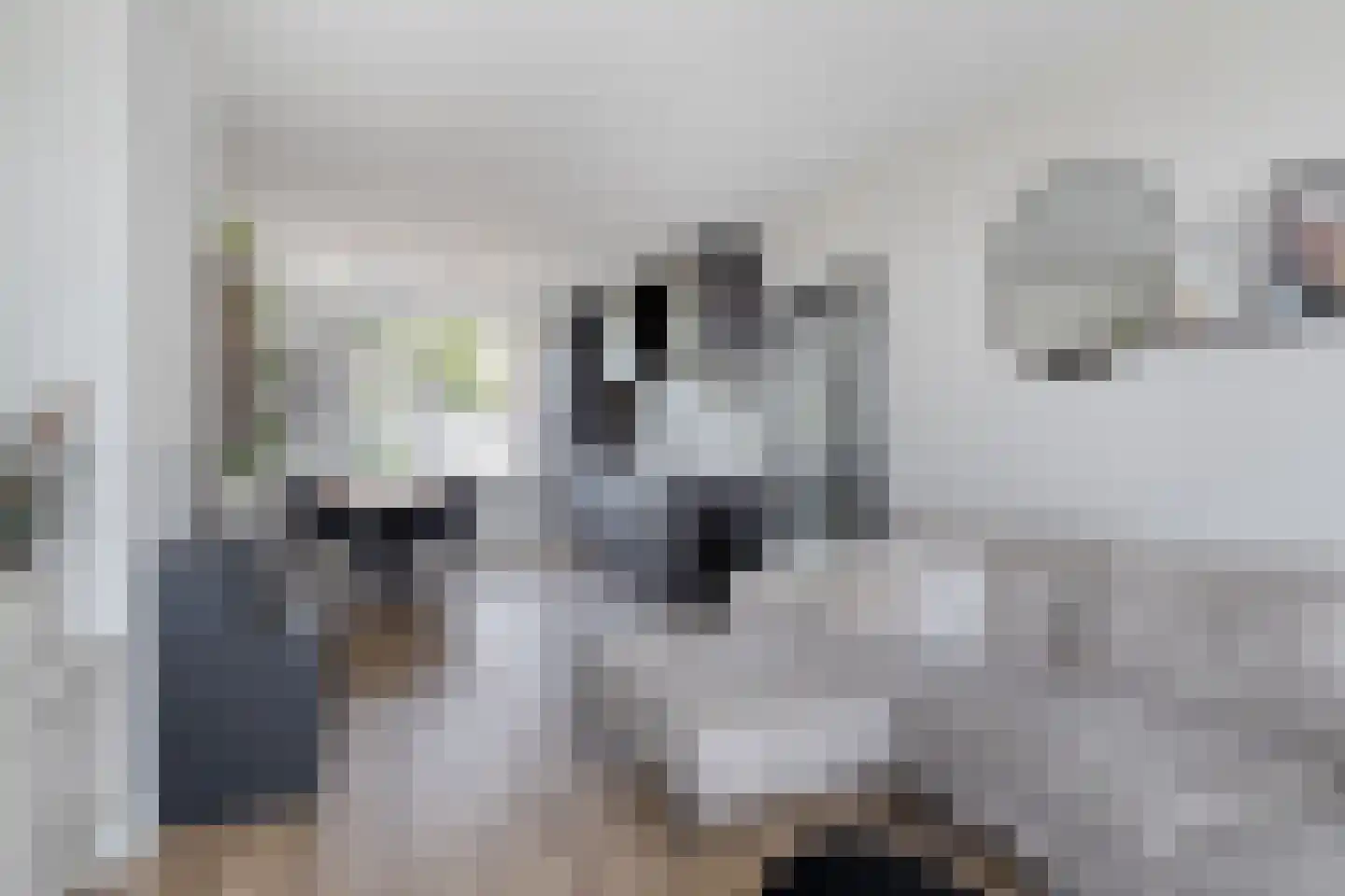 Willem de Zwijgerlaan 31 Alphen aan den Rijn thumbnail 7