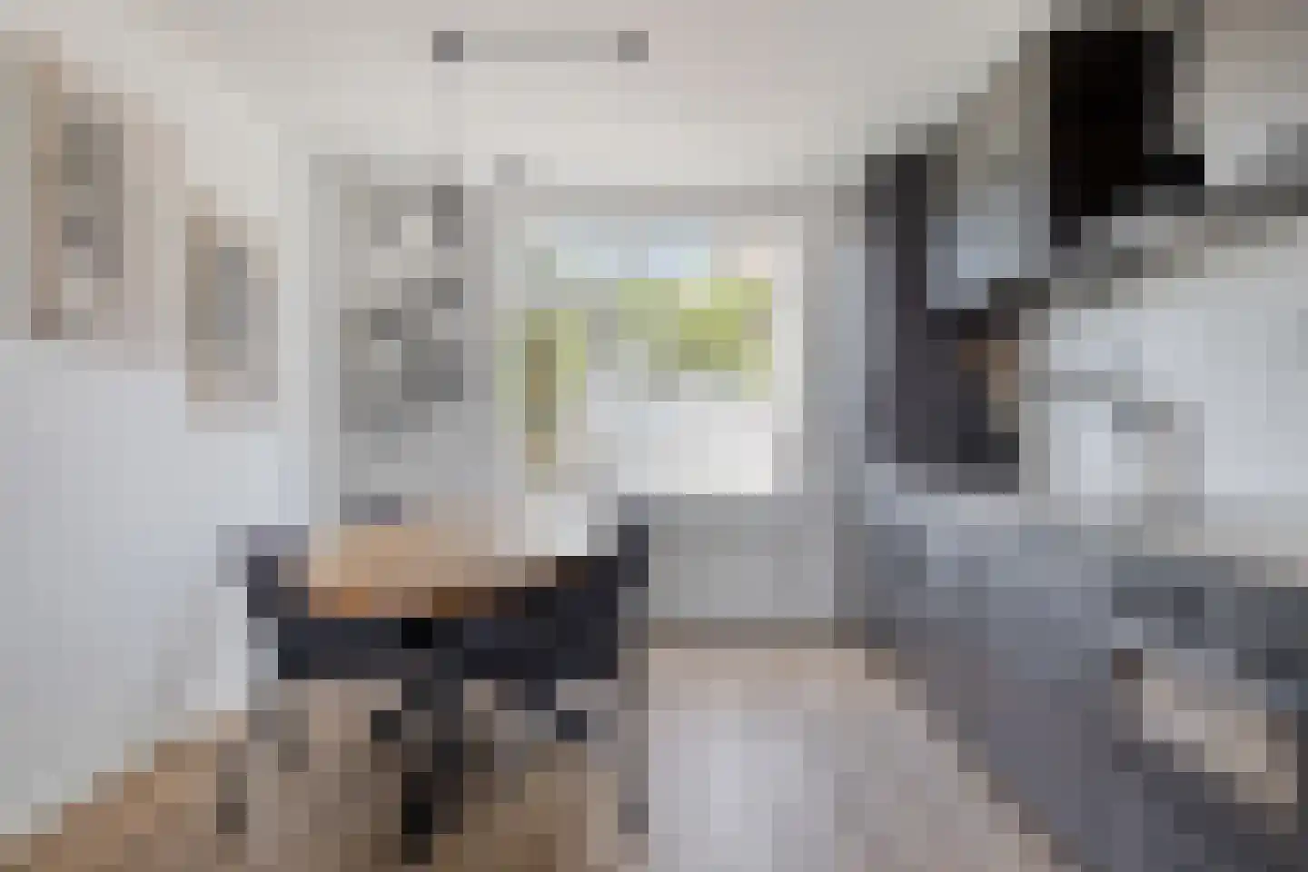 Willem de Zwijgerlaan 31 Alphen aan den Rijn thumbnail 9