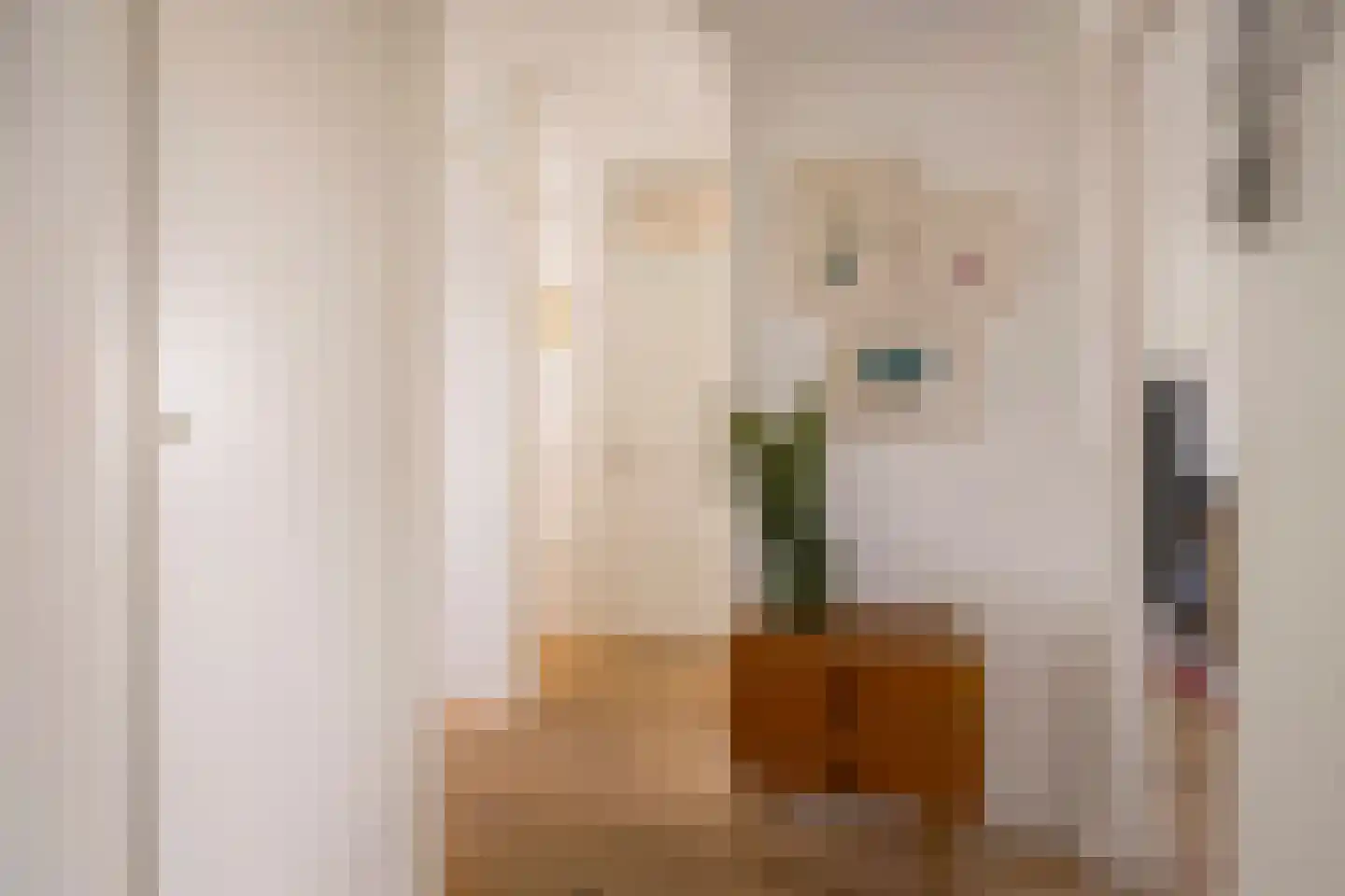 Willem de Zwijgerlaan 313 3 Amsterdam thumbnail 13