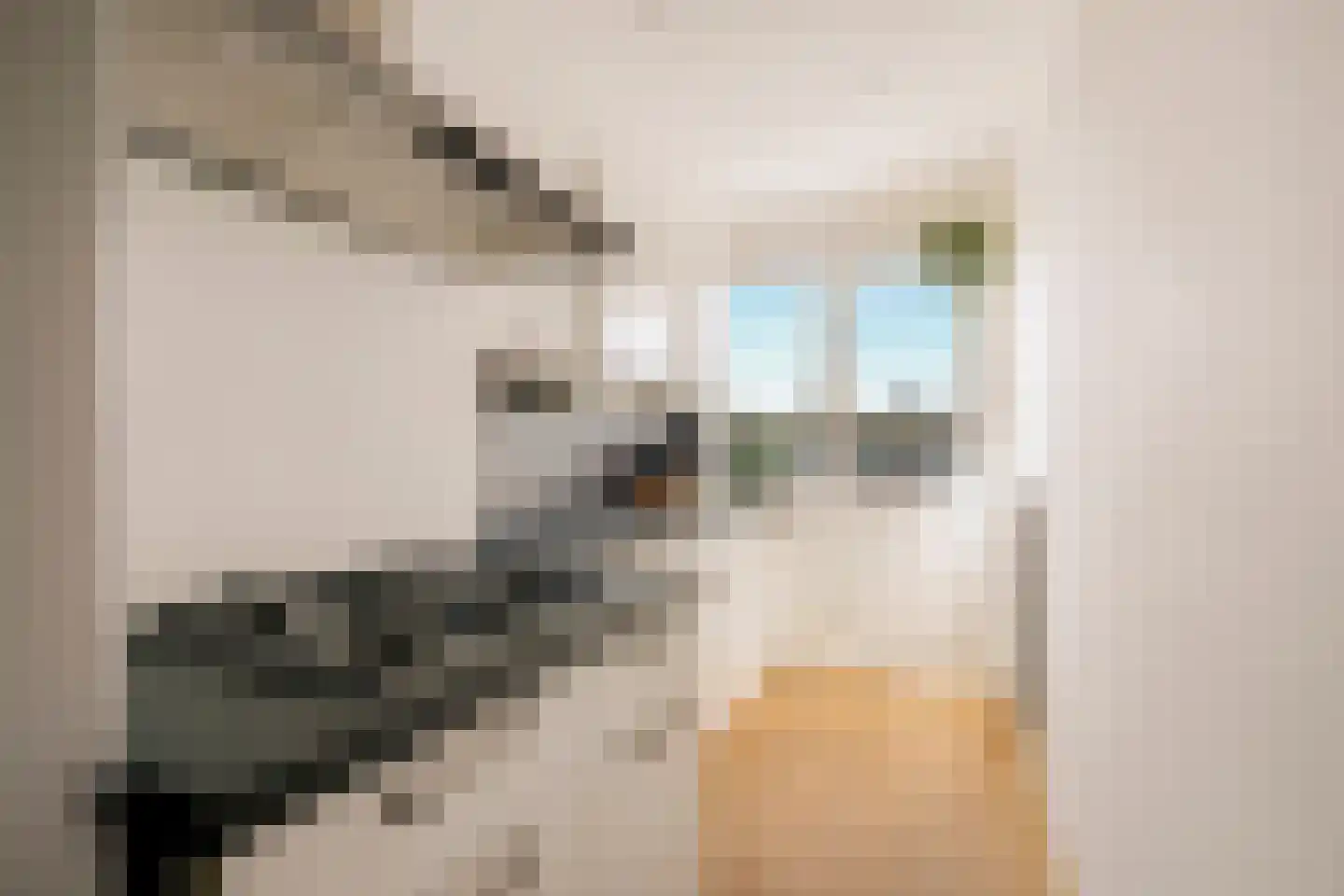Willem de Zwijgerlaan 313 3 Amsterdam thumbnail 14