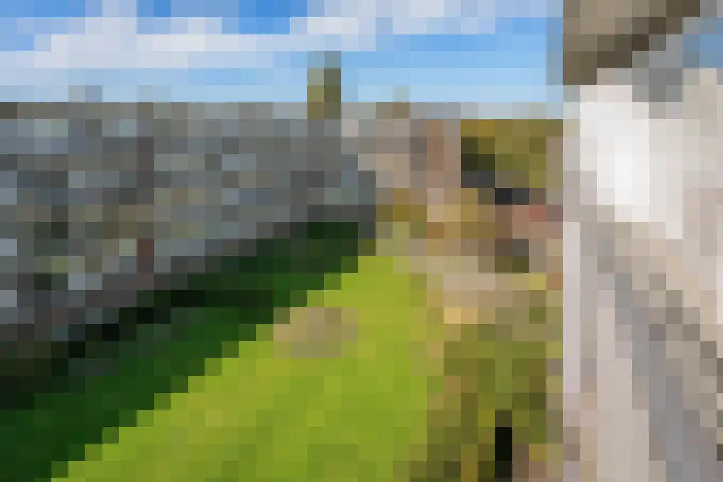 Willem de Zwijgerlaan 313 3 Amsterdam thumbnail 19