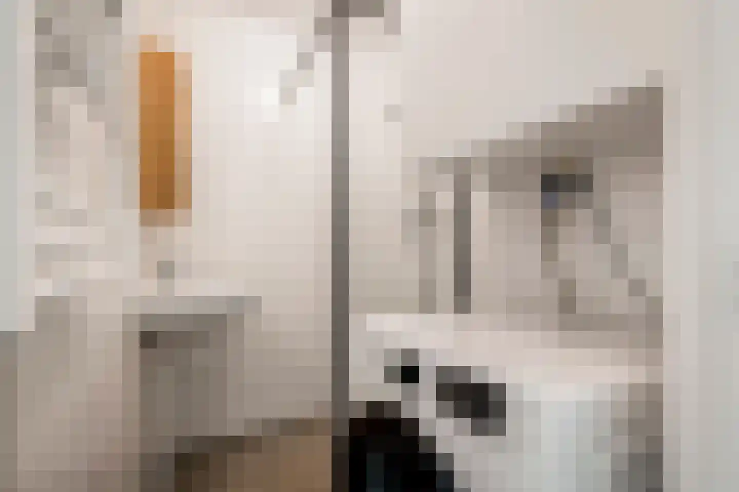 Willem de Zwijgerlaan 313 3 Amsterdam thumbnail 24