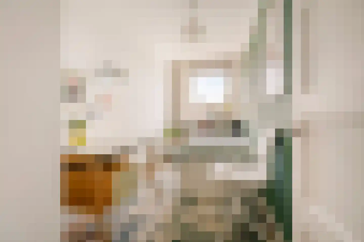 Willem de Zwijgerlaan 313 3 Amsterdam thumbnail 27