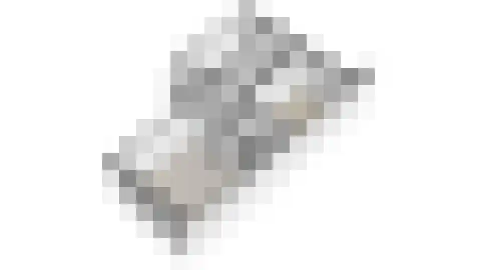 Willem de Zwijgerlaan 313 3 Amsterdam thumbnail 36