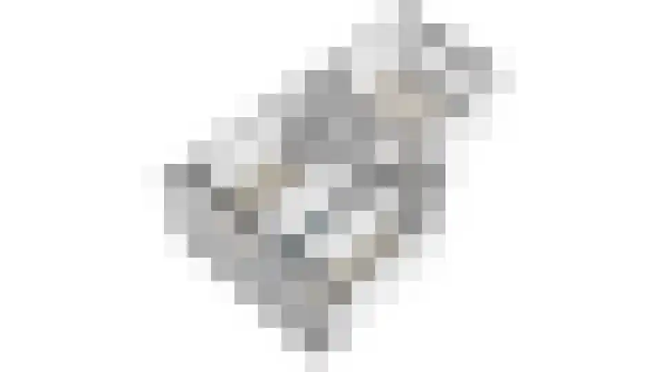 Willem de Zwijgerlaan 313 3 Amsterdam thumbnail 37