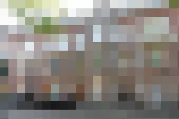 Willem de Zwijgerlaan 32 in Den Haag