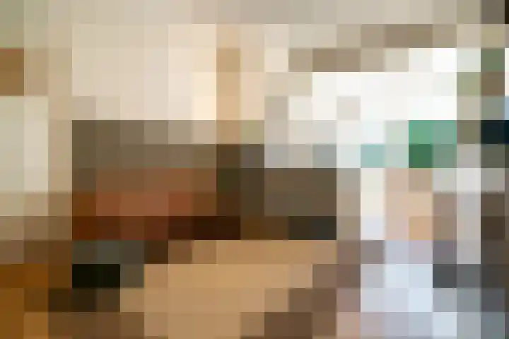 Willem de Zwijgerlaan 32 Den Haag thumbnail 10