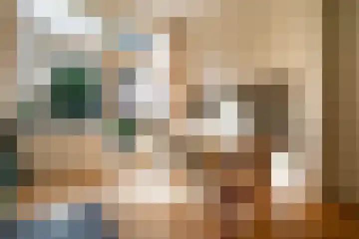 Willem de Zwijgerlaan 32 Den Haag thumbnail 13