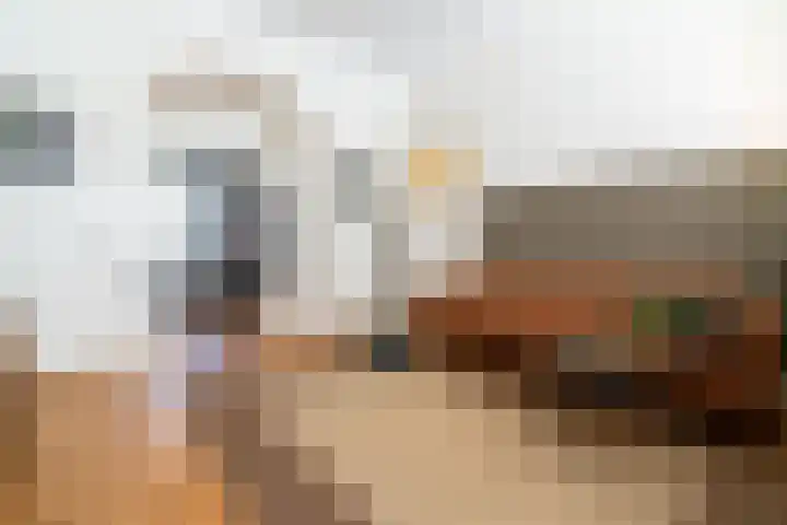 Willem de Zwijgerlaan 32 Den Haag thumbnail 14