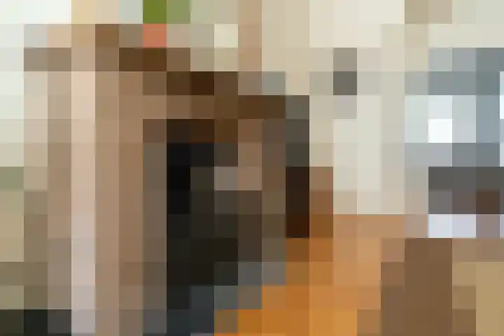 Willem de Zwijgerlaan 32 Den Haag thumbnail 15