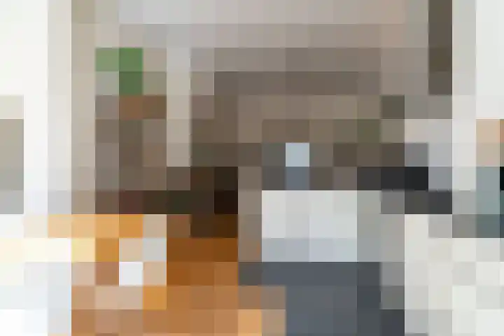 Willem de Zwijgerlaan 32 Den Haag thumbnail 16