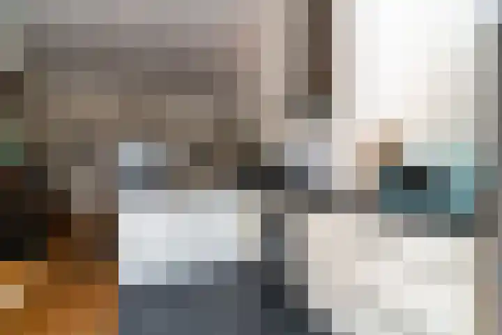 Willem de Zwijgerlaan 32 Den Haag thumbnail 17