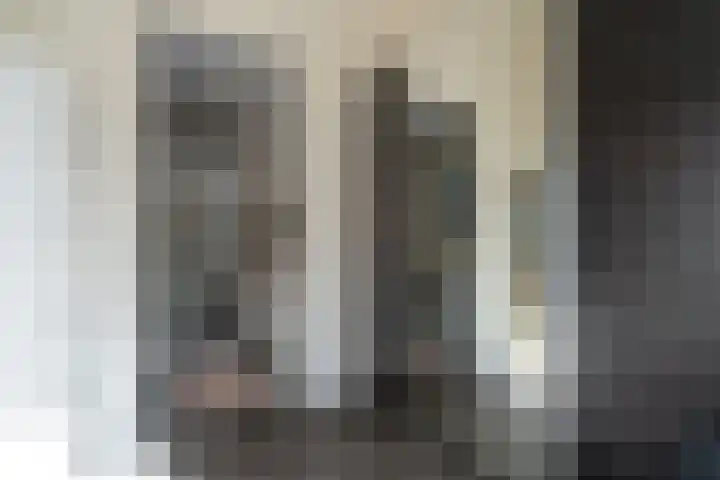 Willem de Zwijgerlaan 32 Den Haag thumbnail 18