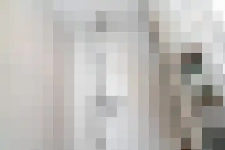 Willem de Zwijgerlaan 32 Den Haag thumbnail 20