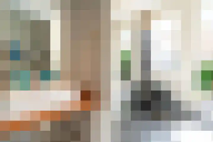 Willem de Zwijgerlaan 32 Den Haag thumbnail 21