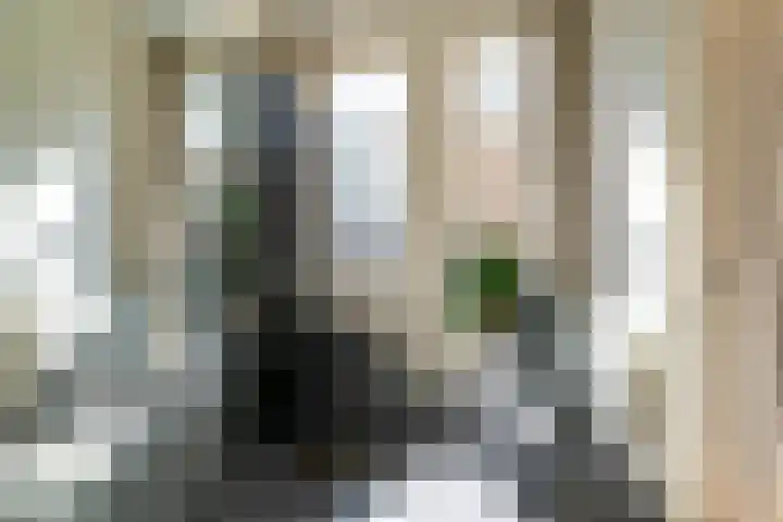 Willem de Zwijgerlaan 32 Den Haag thumbnail 22