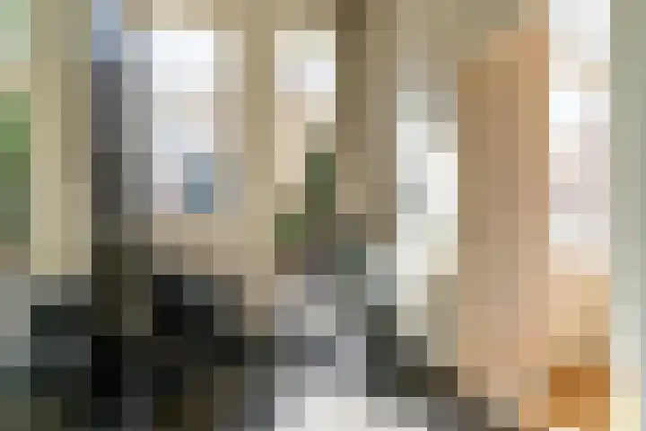 Willem de Zwijgerlaan 32 Den Haag thumbnail 23