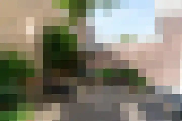 Willem de Zwijgerlaan 32 Den Haag thumbnail 24