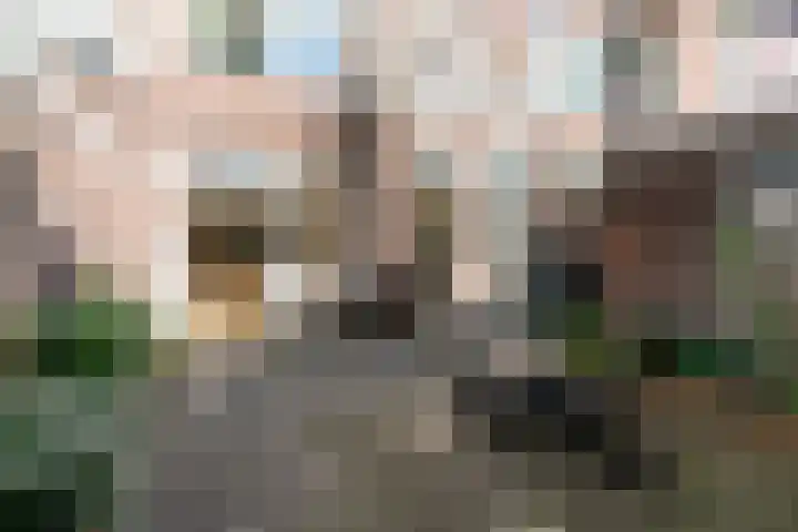Willem de Zwijgerlaan 32 Den Haag thumbnail 25